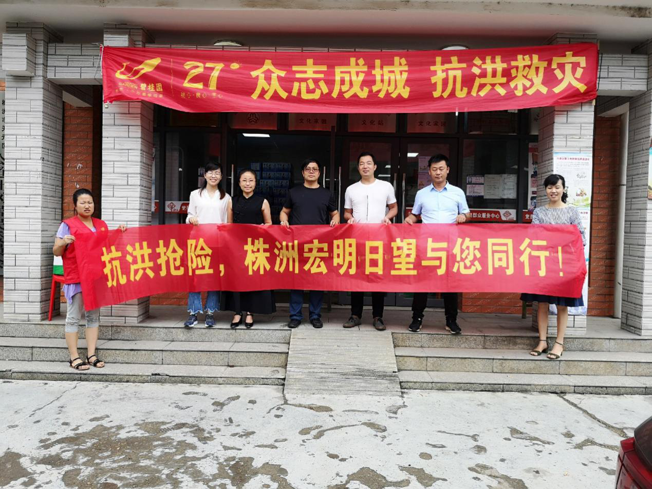 乐投平台,宏明日望,株洲电子科技,湖南电容器,株洲电容器,电容器