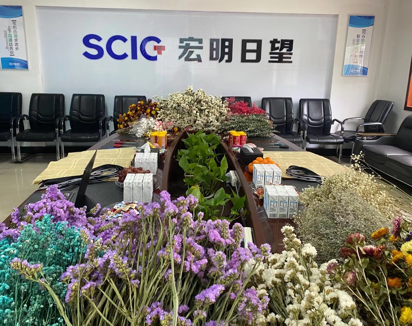 乐投平台,宏明日望,株洲电子科技,湖南电容器,株洲电容器,电容器
