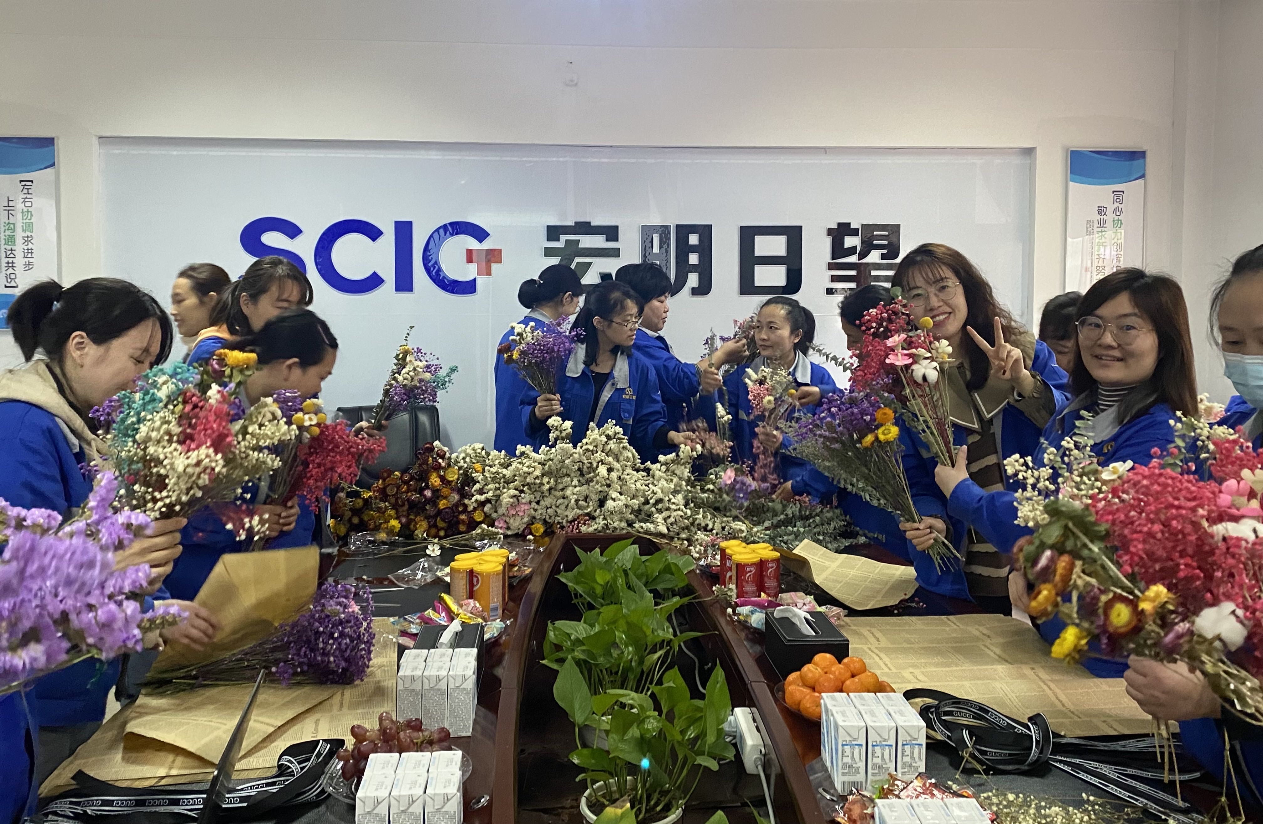 乐投平台,宏明日望,株洲电子科技,湖南电容器,株洲电容器,电容器